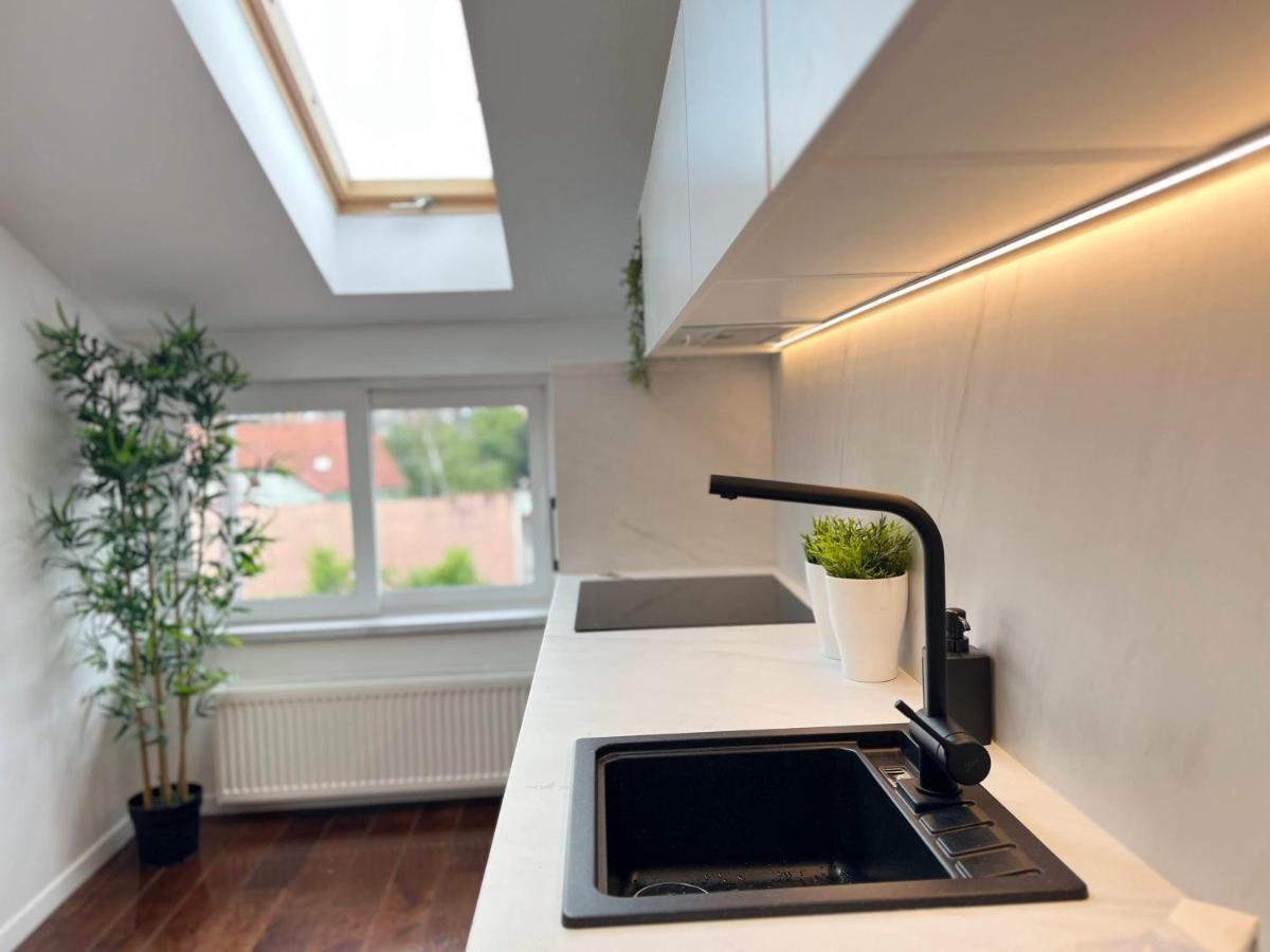 Cozy Loft In Center * Zagreb