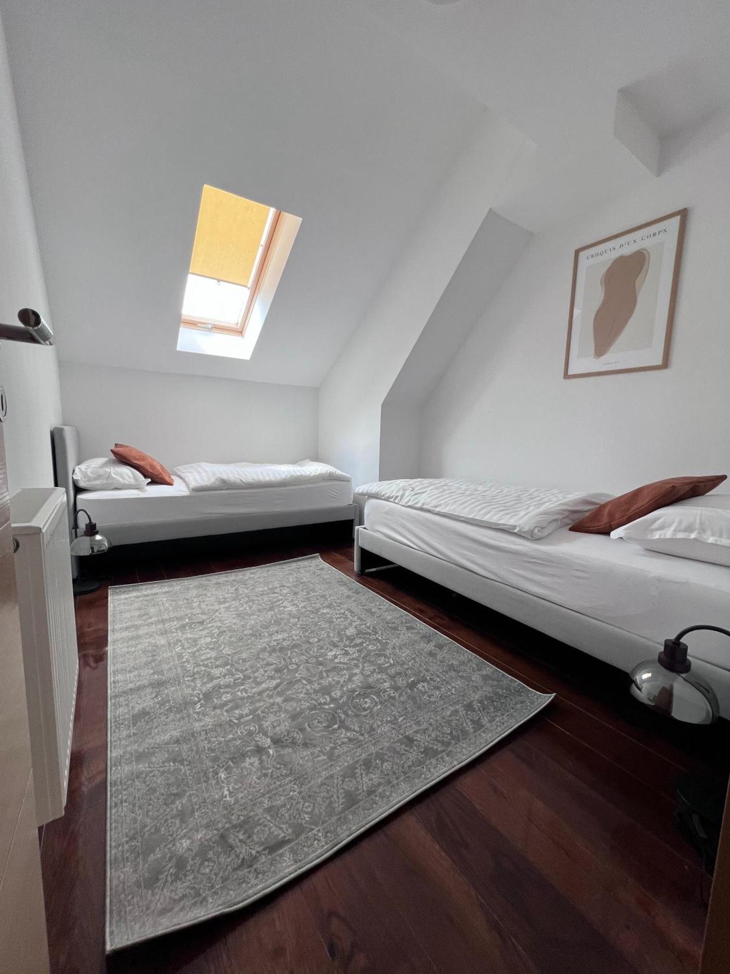 Cozy Loft In Center Apartment *